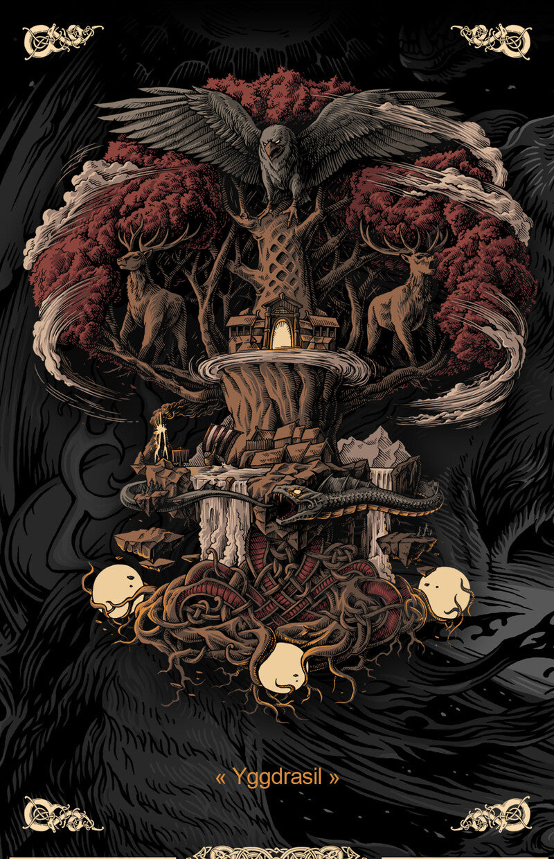 Nephropexy US/CANADA/MEXICO tagged