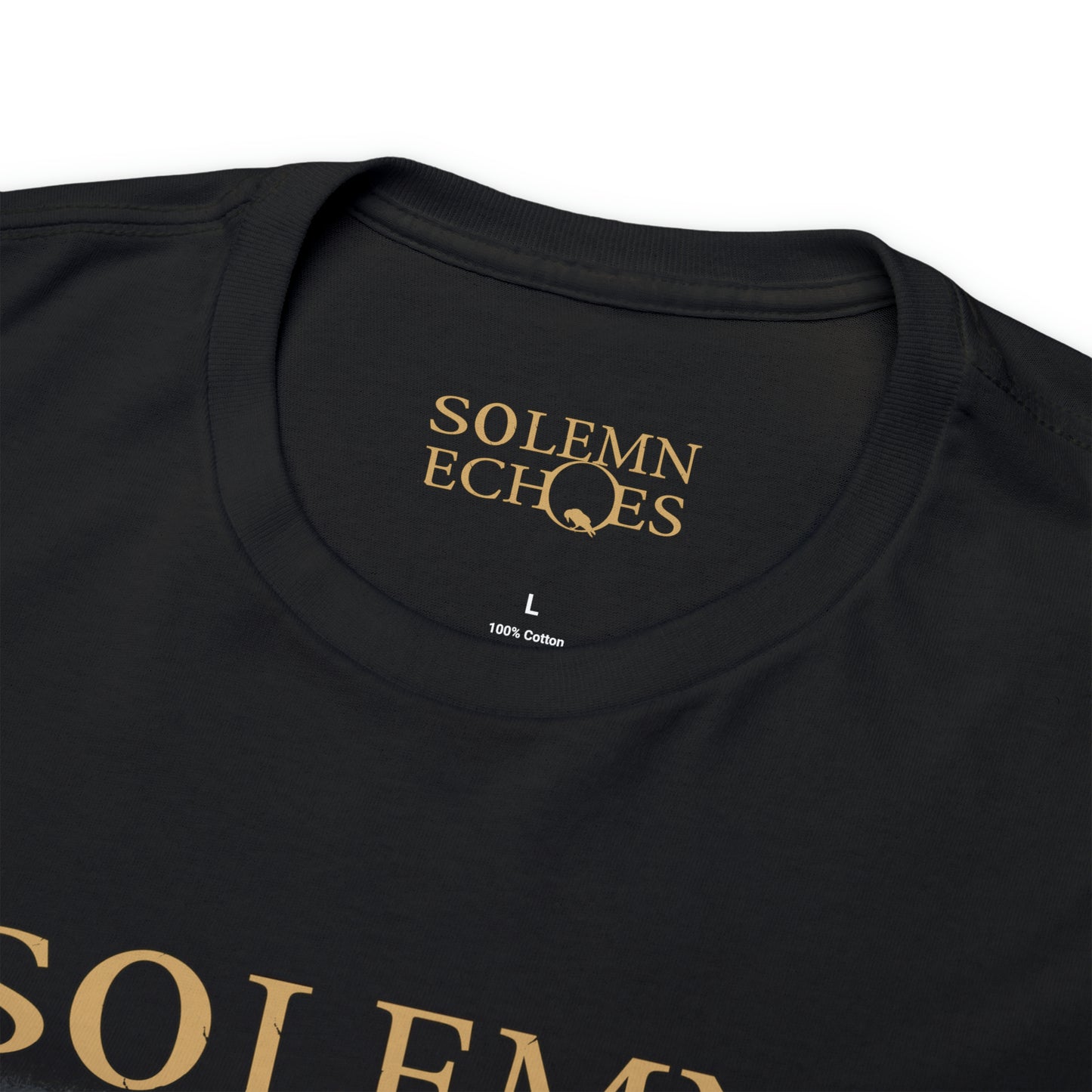 Solemn Echoes - Album Cover